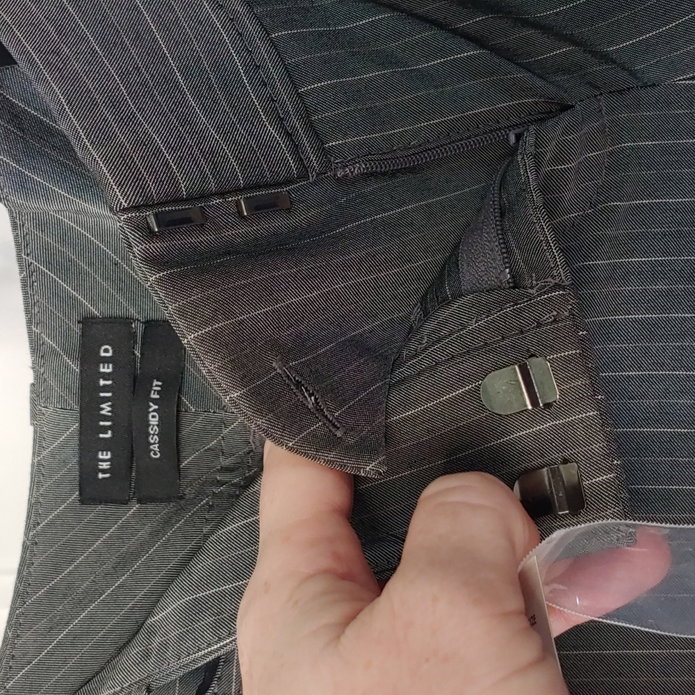Cassidy fit Pants from the Limited - Picture 5 of 7